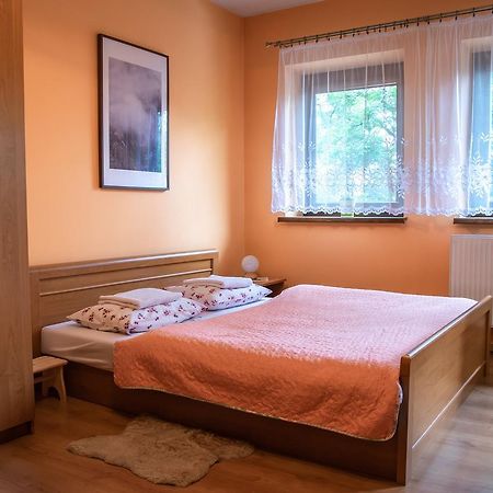 Apartament Domino - Krzeptowki 06 Zakopane Ngoại thất bức ảnh
