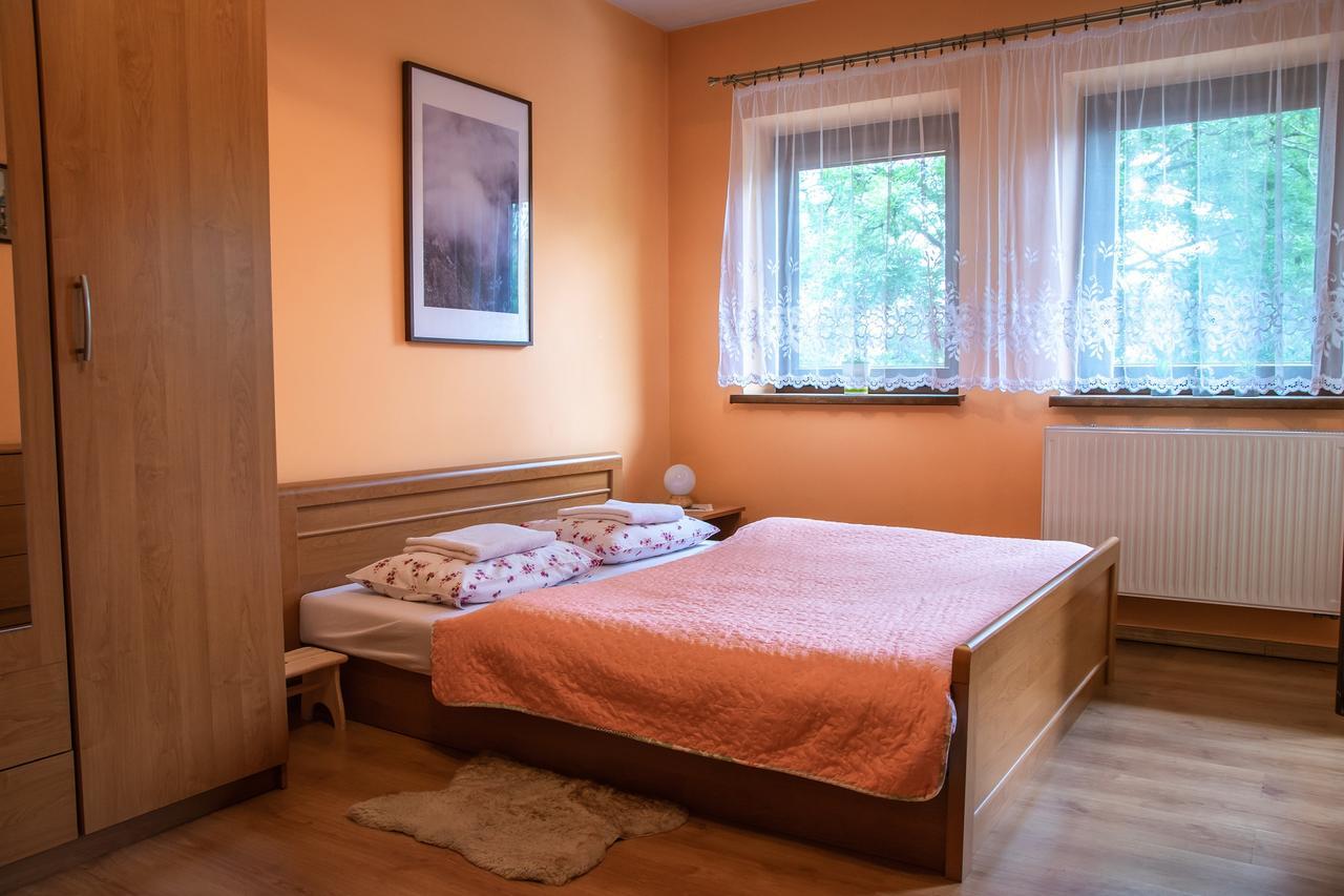 Apartament Domino - Krzeptowki 06 Zakopane Ngoại thất bức ảnh